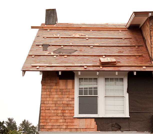 Affordable Siding Repair and Maintenance Services in Pine Brook, NJ